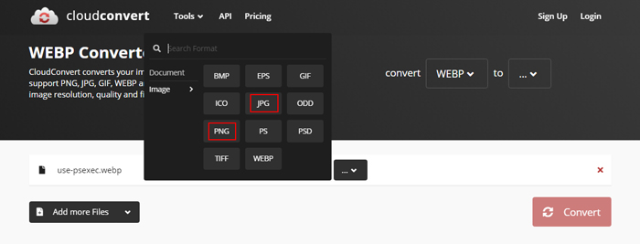 Choose PNG or JPG as the output format