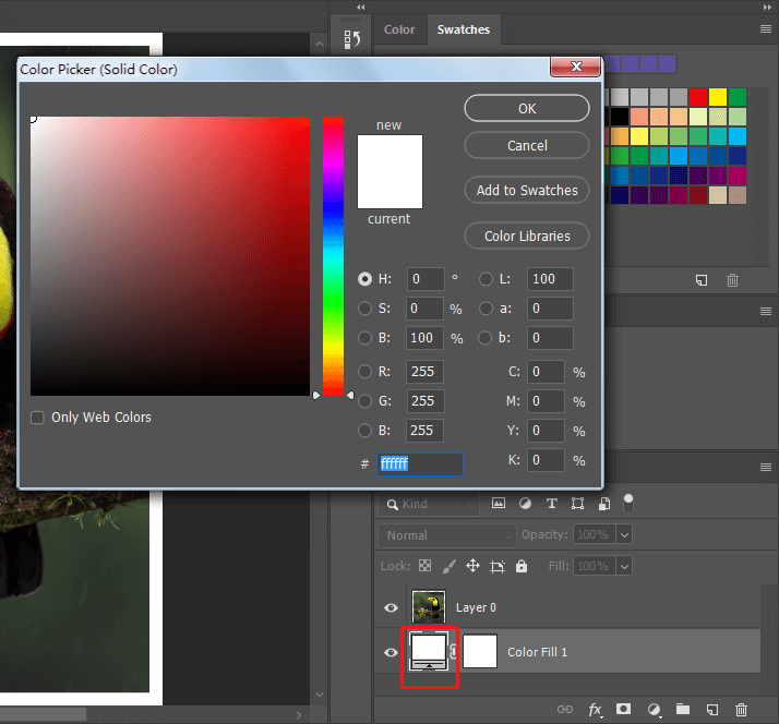 Double-click on the thumbnail of the "Color Fill" layer
