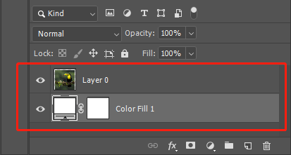 Drag the "Color Fill" layer below the layer from "Background" in the "Layers" panel